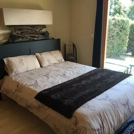 With Garden Daltons 1