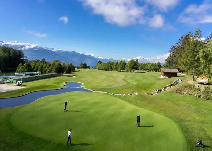 With Garden Daltons 1 Apartment Crans-Montana