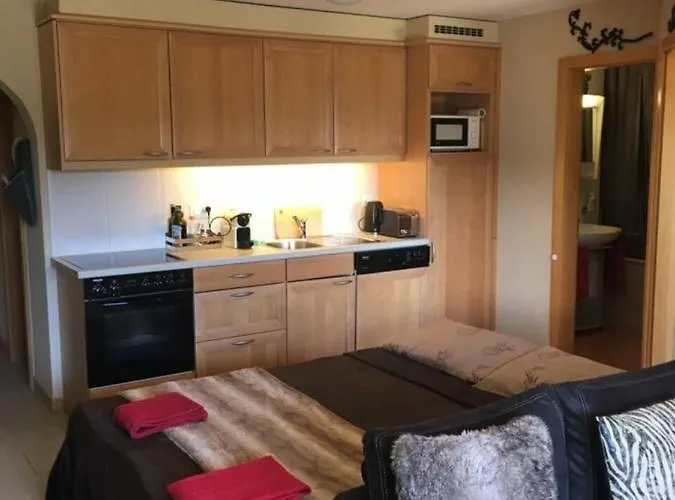 With Garden Daltons 1 Apartment Crans-Montana